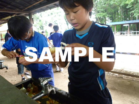 �J���[���19