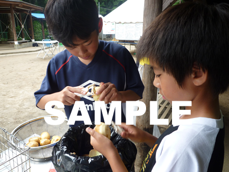 �J���[���23