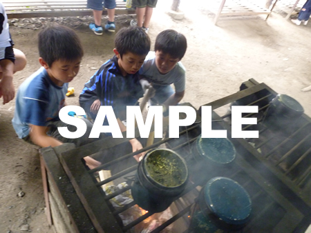 �J���[���28