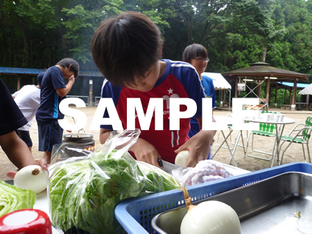 �J���[���29