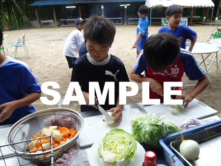 �J���[���30