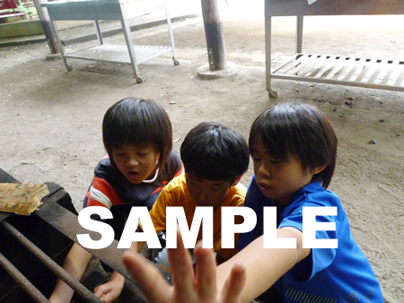 �J���[���31