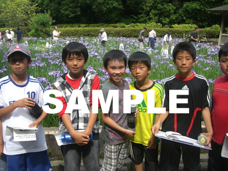 �E�H�[�N�����[17