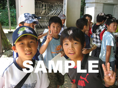 �E�H�[�N�����[24