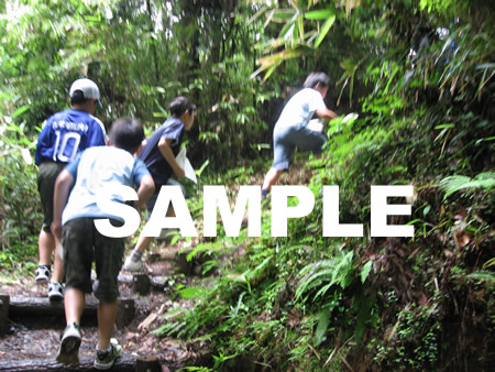 �E�H�[�N�����[29