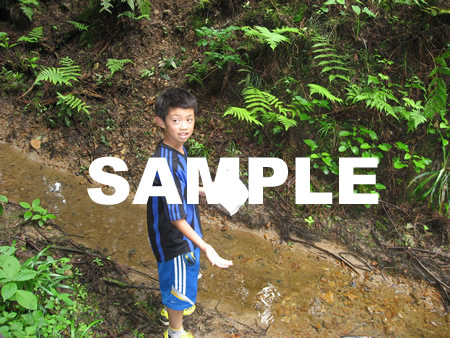 �E�H�[�N�����[36